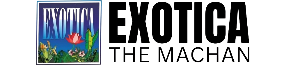The Machan by Exotica